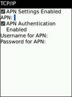 How to Configure the APN Settings on BlackBerry